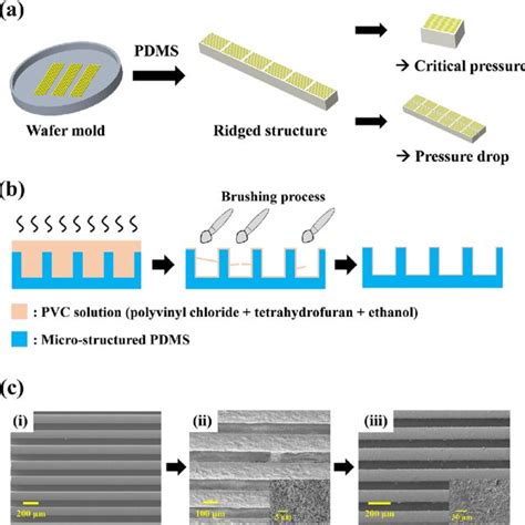 Schematics Of A The Fabrication Procedure And B Brushing Process