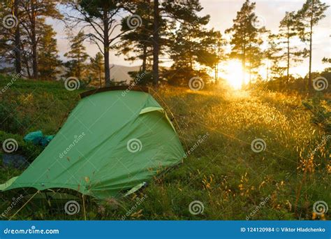 Camping on in the Forest during the Sunset or Sunrise. Bright Sunlight Stock Photo - Image of ...