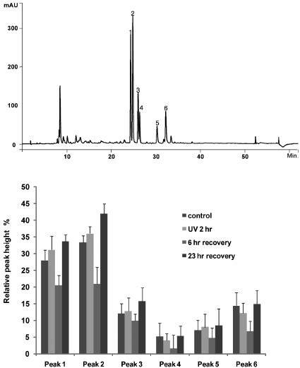 A Hplc Elution Profile Of Flavonoids From Glycine Max Leaves Hplc