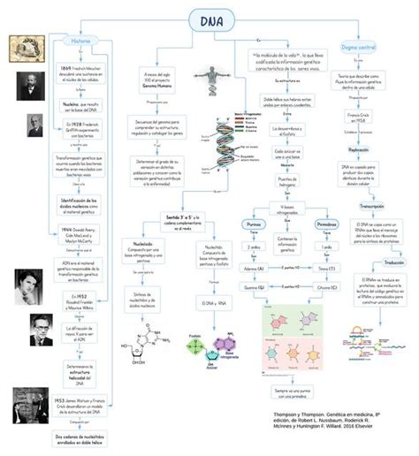 DNA Mar Med UDocz