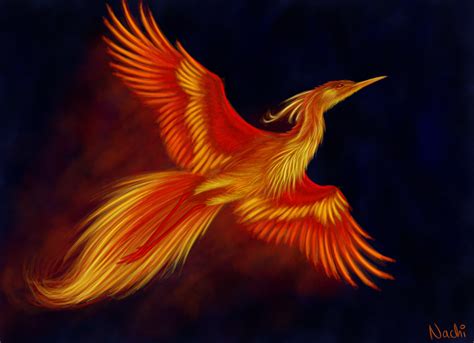 Firebird by Nachiii on DeviantArt