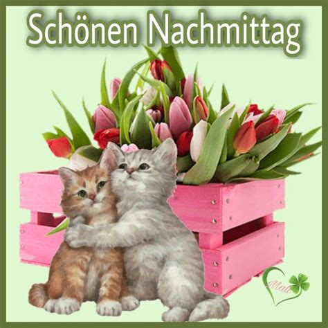 Two Kittens Are Sitting In A Pink Crate With Tulips And Greenery