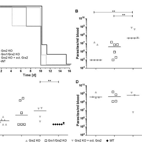 Infectivity Of Grx Ko Grx Grx Ko And Grx Ko Cells Expressing An