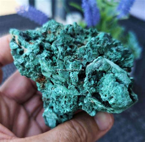 Malachite Bands Mineralitum Exclusive Minerals Online Mineral Shop