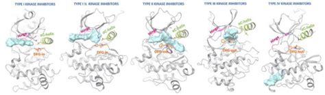 New Horizons In Next Generation Small Molecule Kinase Inhibitors