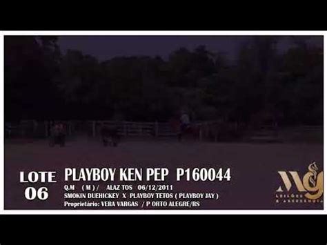 Lote Playboy Ken Pep Youtube