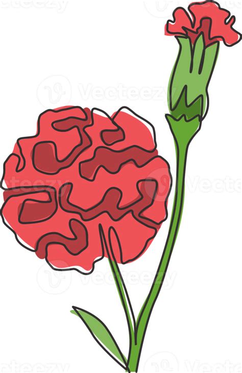 Single Continuous Line Drawing Of Beauty Fresh Carnation For Garden