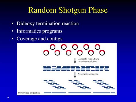 Ppt Genome Sequencing And Assembly High Throughput Sequencing