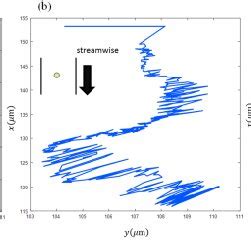 The Representative Sample Of Particle Tracks Taken At The Region Of A