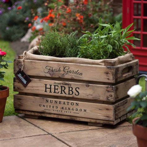 Best Herb Planter Boxes To Buy 2024 All Budgets And Sizes