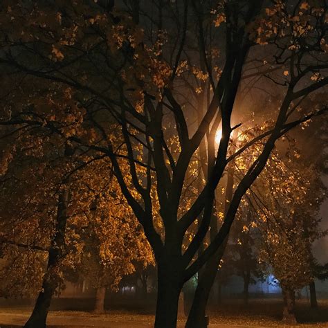 Ночь | Пикабу
