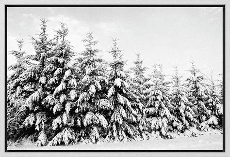 Aazaqtin Framed Canvas Print Wall Art Snow Covered Trees In The Winter