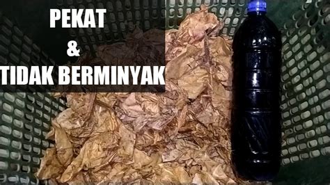 Cara Membuat Ekstrak Daun Ketapang Youtube