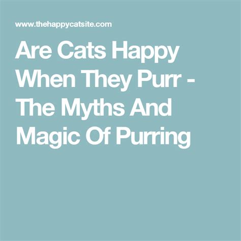 Are Cats Happy When They Purr The Myths And Magic Of Purring Why Do