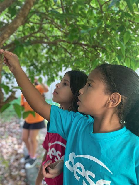 A natureza é das infâncias Portal da Educação Sesc RJ