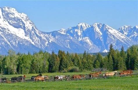 Moose Head Ranch (Moose, WY) - Resort Reviews - ResortsandLodges.com