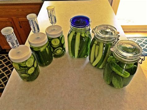 A Simple Fermented Pickles Guide Grow To Save