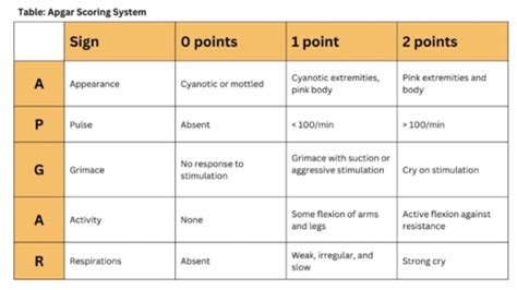 Prenatal Care Normal Pregnancy Flashcards Quizlet