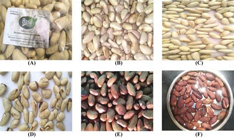 Jackfruit seeds during different processing steps: (A) Obtained... | Download Scientific Diagram