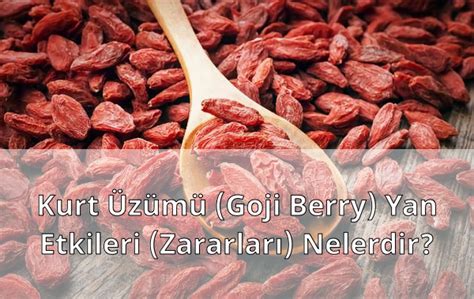 Kurt Üzümü Goji Berry Yan Etkileri Zararları Nelerdir Bilgi net