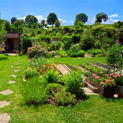 Les 15 gestes éco responsables au jardin pour préserver la nature