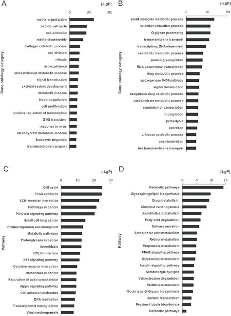 Go And Pathway Analysis Of Differentially Expressed Mrnas In Advanced Download Scientific