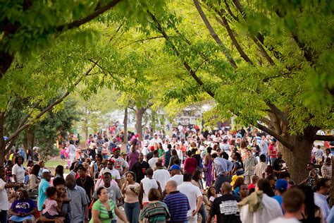 Dogwood Festival wraps its 80th celebration – The Connector