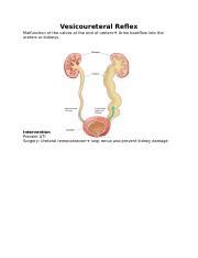 Vesicoureteral Reflex Docx Vesicoureteral Reflex Malfunction Of The