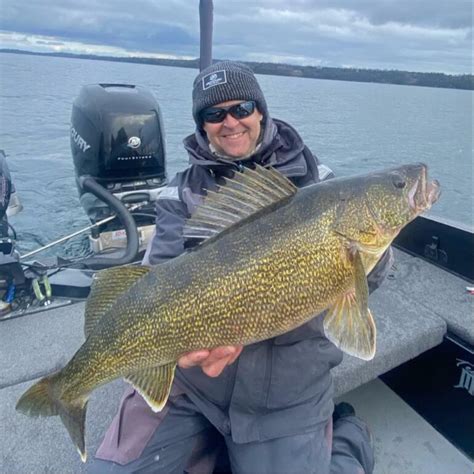 Walleye Virtual Angling