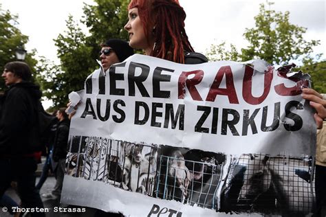 Tierschützer fordern Verbot von Tieren in Zirkusvorstellun Flickr