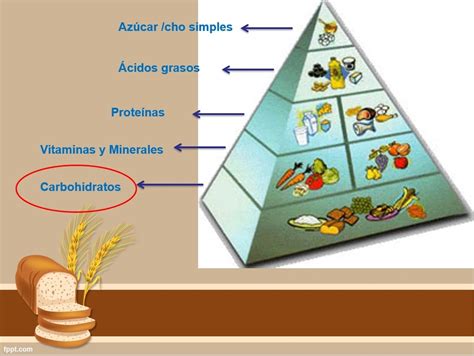 Piramide Y Cereales Diagram Quizlet