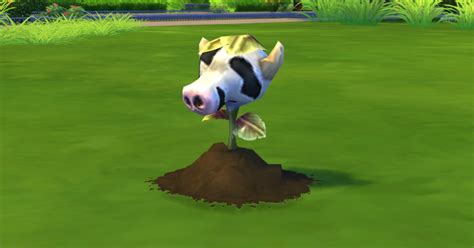 Como Fazer A Planta Vaca Comer Um Sim The Sims Vaca Importante