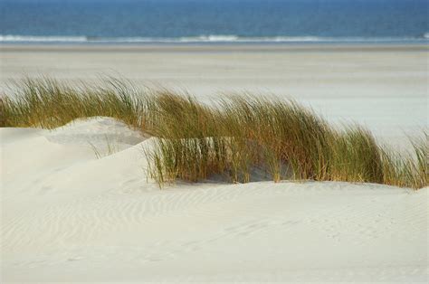 Beach, East Frisian Islands, Germany by Myloupe/uig