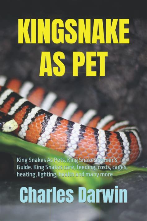 Buy Kingsnake As Pet King Snakes As Pets King Snakes Owners Guide