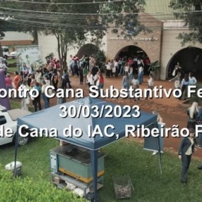 Confira Um Pequeno Resumo Do Que Foi O Encontro Cana Substantivo