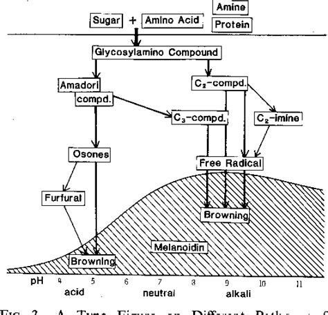 Figure From Role Of Sugar Fragmentation In An Early Stage Browning Of