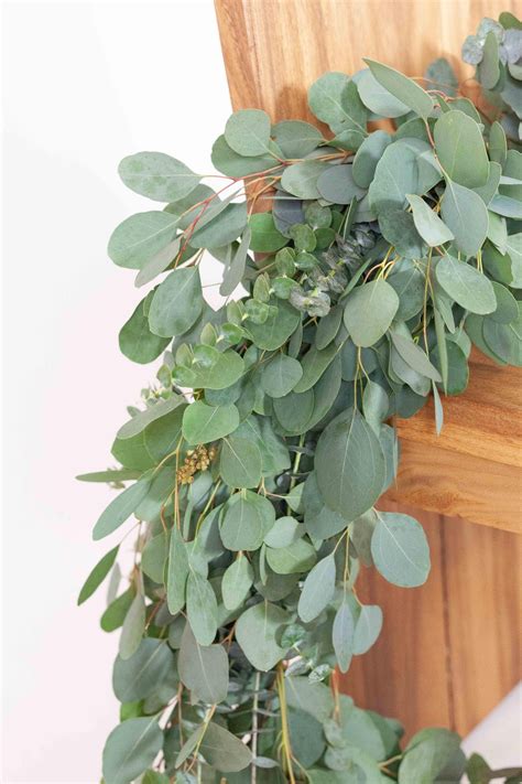 Fresh Mixed Eucalyptus Garland Wedding Garland Wholesale Eucalyptus