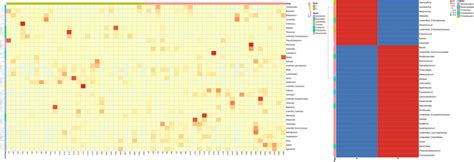 Top35 Heat Map Of Species Abundance Clustering Longitudinal Are The Download Scientific