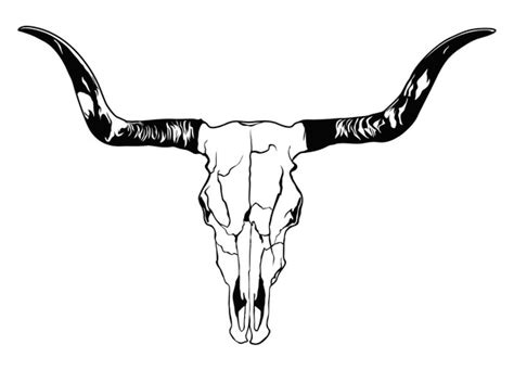 9 273 Cow Skull Isolated Images Stock Photos 3D Objects Vectors