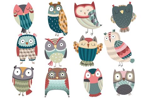 手绘可爱猫头鹰矢量插画合集 Cute Owl Set Vector PNG Pack 大洋岛素材