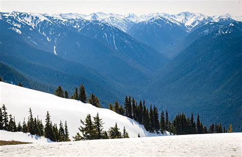 Hurricane Ridge Winter Stock Photos, Pictures & Royalty-Free Images ...