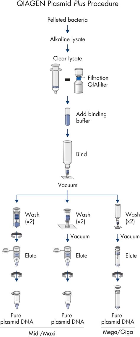 QIAGEN Plasmid Plus Max Kit 100 特价 大提 重庆四鼎生物技术有限公司网站