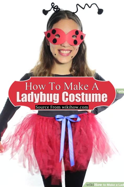 16 Simple DIY Ladybug Costume Ideas - DIYsCraftsy