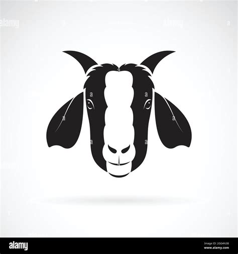 Vector De Diseño De Cabeza De Cabra Sobre Fondo Blanco Animales