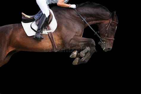 Horse Jumping On Black Background. Stock Photo - Image: 60898974