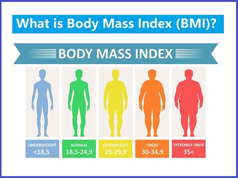 body mass index bmi  indian  year olds bmi rank