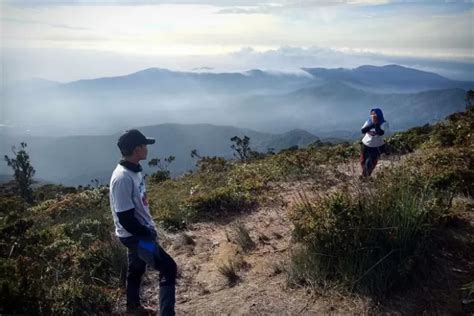 Mendaki Ke Puncak Tertinggi Sumatera Utara Di Gunung Sibuatan Objek