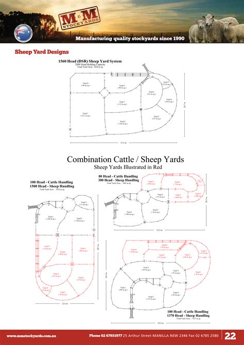 Cattle And Sheep Yard Plans — M And M Stockyards