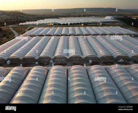 Vista Aérea De Drones De Enormes áreas De Invernadero Para El Cultivo