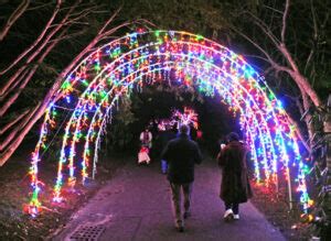 Holidays On Cape Cod Heritage Gardens Aglow Bayside Resort